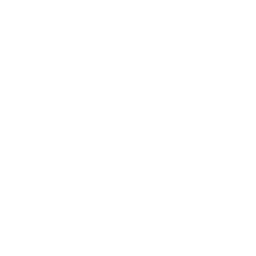 ico1 1
