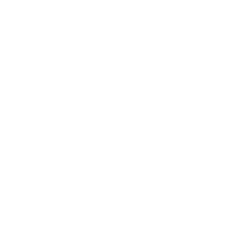 ico11